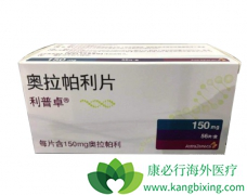 �����������������������PARP���Ƽ�