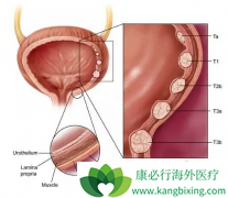 HER2����������·��Ƥ�����߿���ʹ����Щҩ�����ƣ�