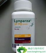 ��������(lynparza)����Щǰ���ٰ��л��ԣ�