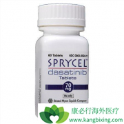 ��ɳ���������������ƶԳ���PH+ ALL���ߵ���Ч