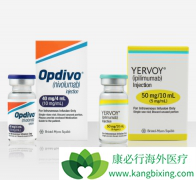 �����Ʒ�Yervoy����Opdivo����������Щ��֢��