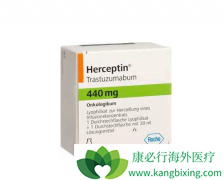 �ð���ҩ�����͡HER2�����Ի��߶��ܻ��棿