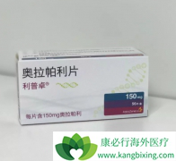 ��������ҩ��PARP���Ƽ��������������������ٰ�������