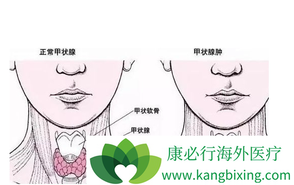 ��״������