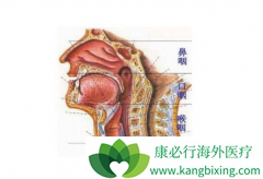 �շ����ʰ��Ĳ�������Щ��