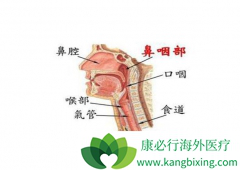 �ٴ��Ͽ����ڱ��ʰ����Ƶķ�������Щ��