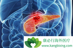 �ϸ����ʺ�ʳ�������п��������ٰ���֢״