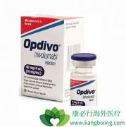 ��������ҩ��Opdivo��Keytruda���Ѿ����й�����