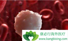 ���������Ϊ�����Լ�����ϵ��Ѫ�����ߴ����������