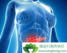 ���������ٰ���֢״����Щ��