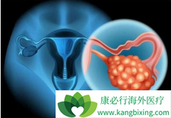 �����������׸���������BRCAͻ���ѳ�������һ��ά�����Ƶ�PARP���Ƽ�