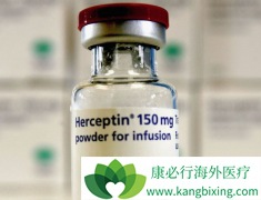 �����鵥������HER2���������ٰ�����Ч����