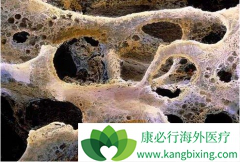 ���۵ļ�ǿ����ҩ��˫�������������������ٰ���������