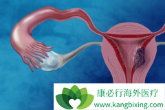 �����ӹ�����ԭ������Щ�����Ԥ����֢��