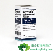 Keytruda���ϰ���������Ŀǰ������ϸ������һ�������Ʒ�