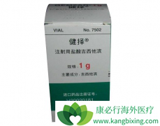 ��������(Gemcitabine)���ϲ������Ʒ��۰��������Щ������Ӧ��