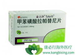 ���ھ���HER2+ MBC������˵����������Ч����������������(Tykerb)