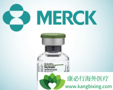 �������鵥��/������ΪСϸ���ΰ����ߵ���һ���Ʒ�