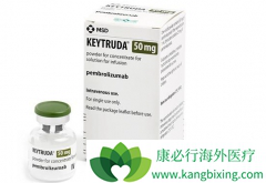 �������鵥��(Keytruda)�ܹ�����Сϸ���ΰ���