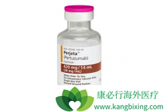 HER2�������ٰ�����ʹ��T-DM1���Ƶ���Ч����