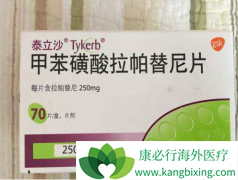 ��������(LAPATINIB)�����ٰ�����������һ���½׶�