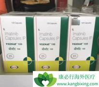 ӡ�ȸ�������ô�����Ƿ���ԭ��ҩ�������Ƶ���Ч�ԺͰ�ȫ�ԣ�