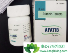 ��������(Gilotrif)������������������һ��������TKI��ҩ������Ч