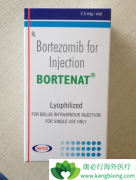 EGFR�����Ǵٽ���������(Bortezomib)��ҩ�Ĺؼ�����