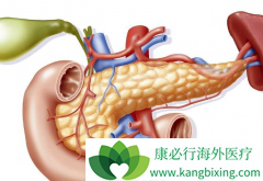 ���ٰ������Ʒ����м��֣����ѡ��