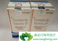 �ڷ���������/����������ֲ�ͬ�ȼ�Ƥ��������Ӧ��ν��м���������