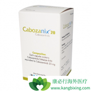 ��������Կ���������ҩ�Ұ���ΰ���ת�Ƶ�NSCLC������Ч