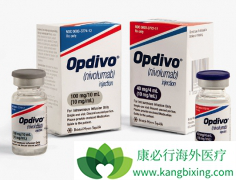 Oҩ��Kҩ���������й��������е�����PD-1���Ƽ�