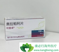 PARP���Ƽ�​�������������ٰ��������Ƶ��Ƽ�����ҩ��