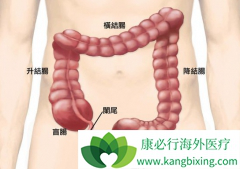 ߻���������ת���Խ�ֱ�����ɻ�����������������˫�ػ���