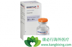 ��EGFR�������������������ƽ�ֱ�������Ƽ�ҩ��