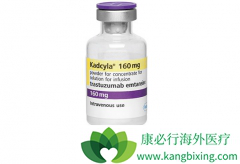 T-DM1���������鵥���������鵥���������Ч���ĸ��ã�