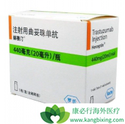 ���������鵥��/����͡��HER2�������ٰ����Ʒ���