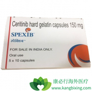 ɫ������(Ceritinib)��һ�ߺ�����׼���������߱�׼���Ƶ���Ч�Ա�