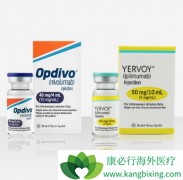 Opdivo����Yҩ�������Ƹ�ϸ����������