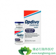 ���������ٰ����߿���ʹ������������