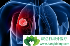 �������������EGFR-TKI��ȸ���������ʲô��ͬ��