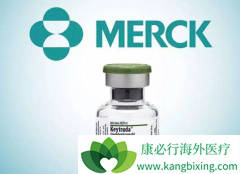 �����(KEYTRUDA)ΪСϸ���ΰ��ṩ�˶��������ѡ��