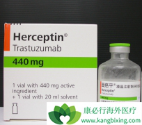 HER2�������ٰ���������Ӧ���ȿ��Ǻ���͡/�����鵥��