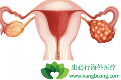 �ѳ��������������޲������Ļ����ܻ��ã�