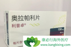 PARP���Ƽ�����������ǰ���ٰ��������Ʒ�