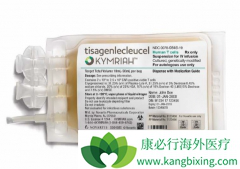 CAR-Tϸ���Ʒ�����Ҫ��������ϸ�����ӷ籩