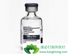 �����(Keytruda)�������ڷΰ������������޽�չ����