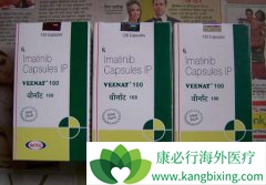 ӡ�ȸ�����/ӡ�ȸ��������ƽ�չ��GIST����Ч��Σ�