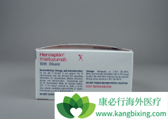 HER2���Ե����ٰ������Ƽ�ʹ�������鵥������
