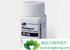 EGFR-TKI�������/���������ڹ�������